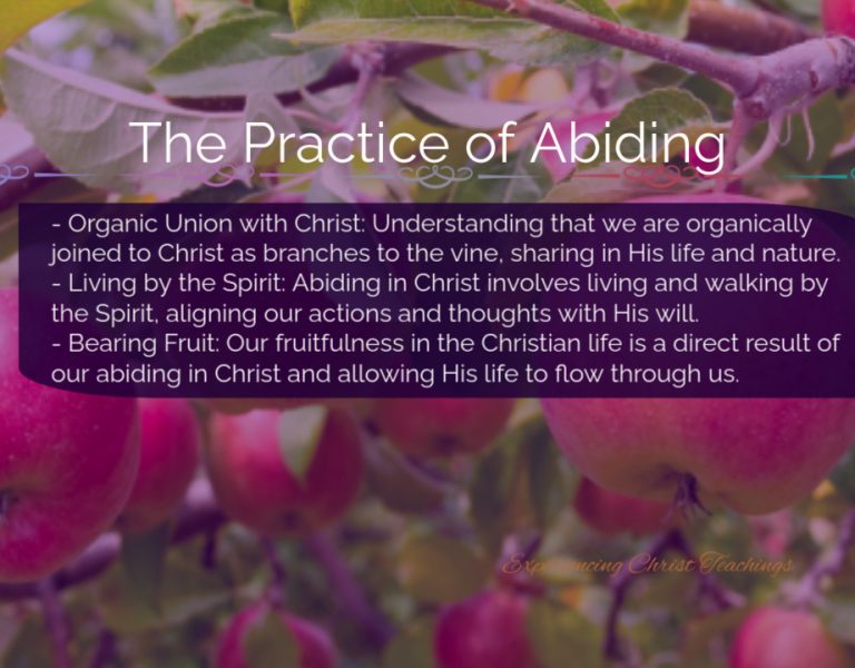Devotional 211: The Practice of Abiding