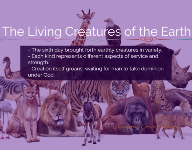 Devotional 229: The Living Creatures of the Earth