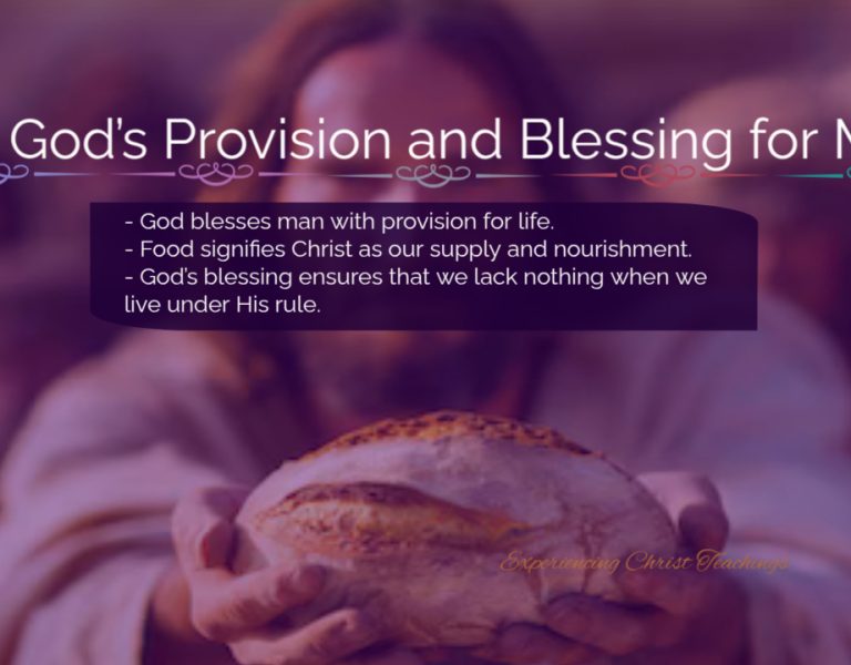Devotional 231: God’s Provision and Blessing for Man