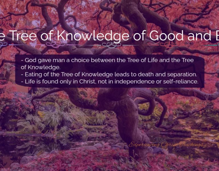 Devotional 238: The Tree of Knowledge of Good and Evil
