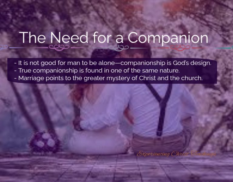 Devotional 239: The Need for a Companion