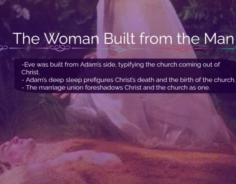 Devotional 240: The Woman Built from the Man