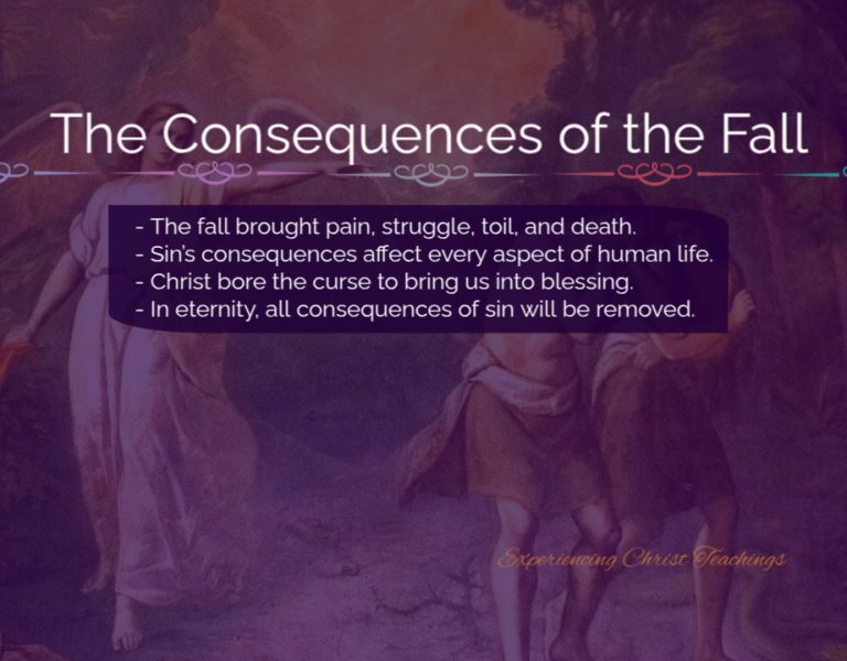 Devotional 246: The Consequences of the Fall