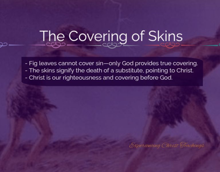 Devotional 247: The Covering of Skins