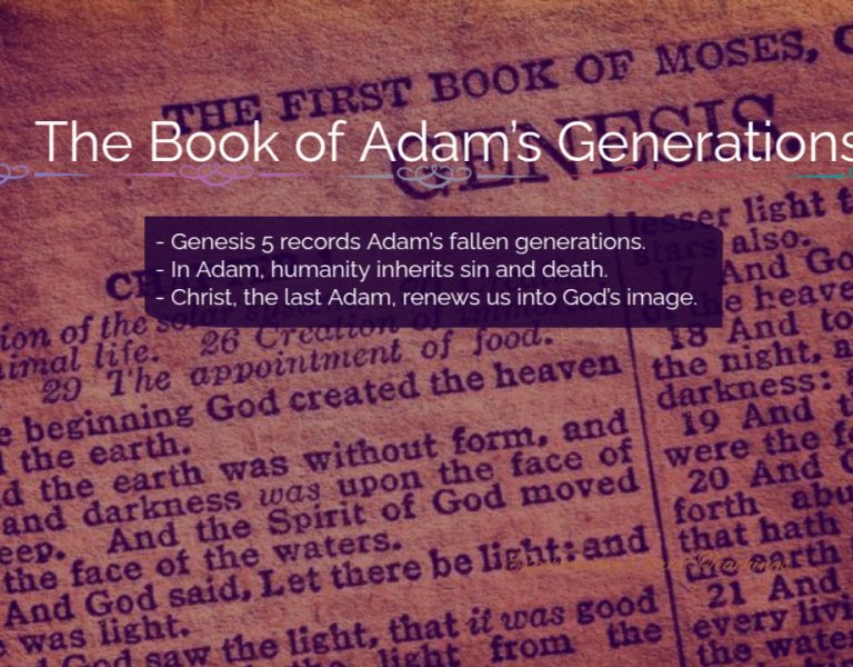 Devotional 260: The Book of Adam’s Generations