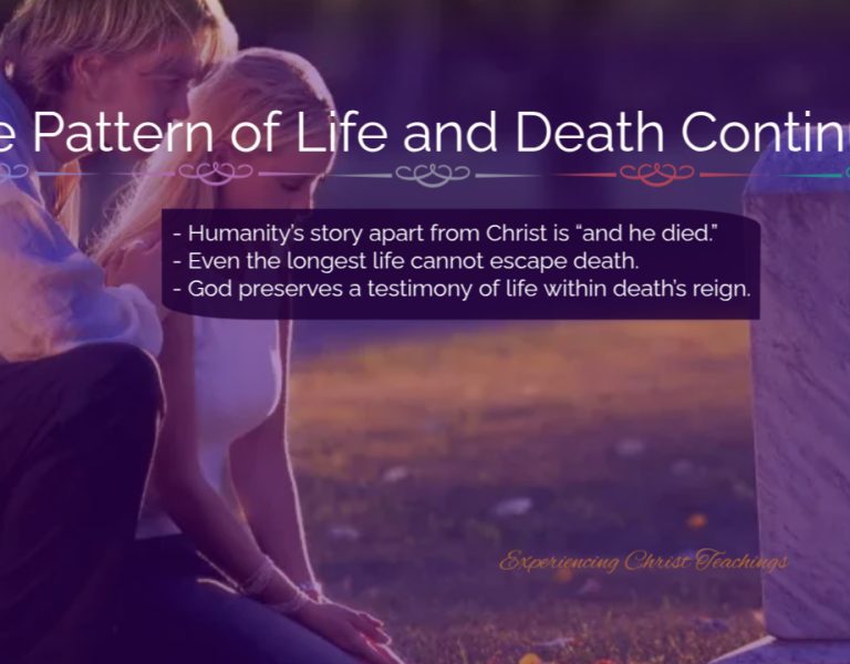 Devotional 262: The Pattern of Life and Death Continues