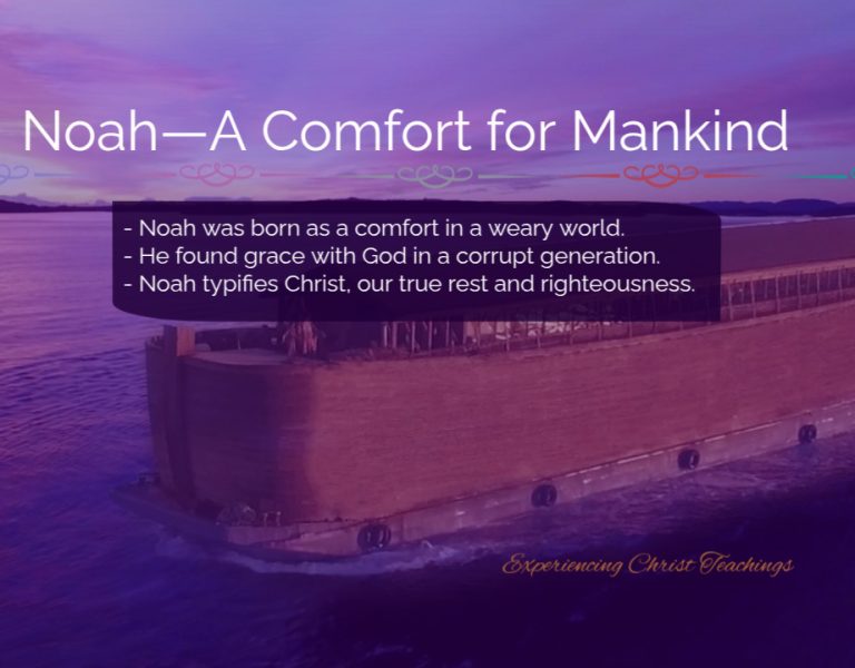 Devotional 265: Noah—A Comfort for Mankind