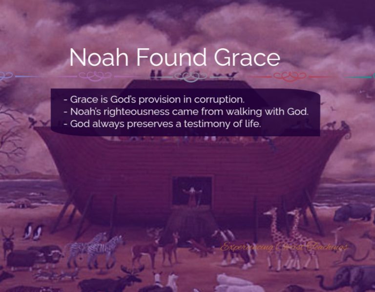 Devotional 270: Noah Found Grace