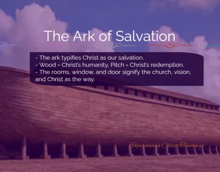 Devotional 272: The Ark of Salvation