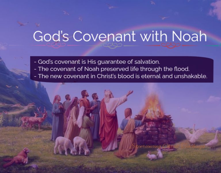 Devotional 273: God’s Covenant with Noah