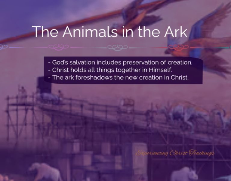 Devotional 274: The Animals in the Ark