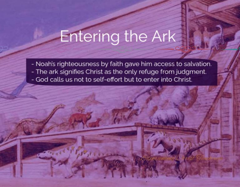 Devotional 277: Entering the Ark