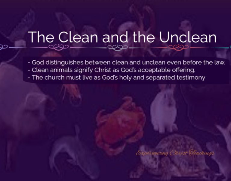 Devotional 278: The Clean and the Unclean