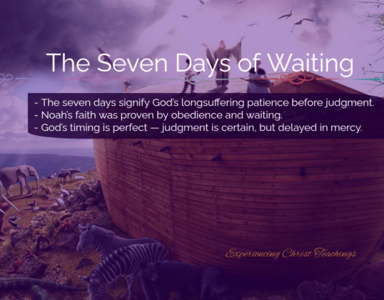 Devotional 279: The Seven Days of Waiting