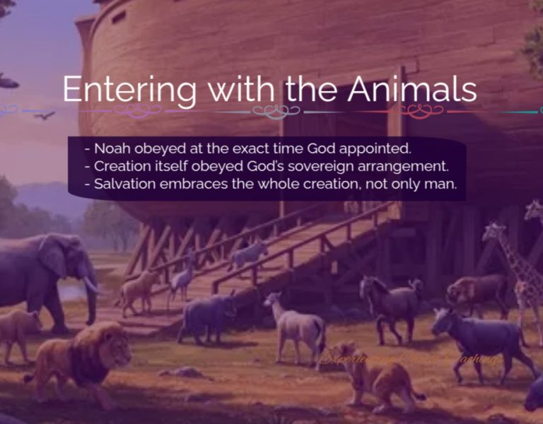 Devotional 280: Entering with the Animals