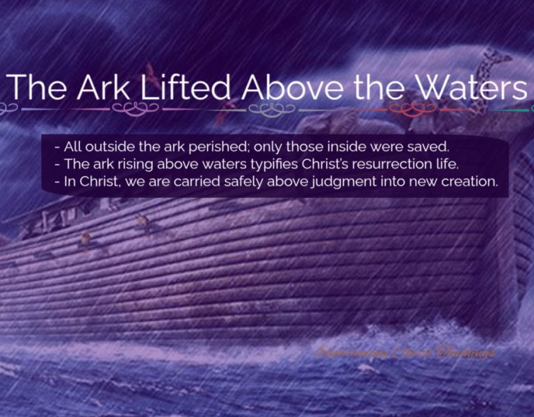 Devotional 282: The Ark Lifted Above the Waters