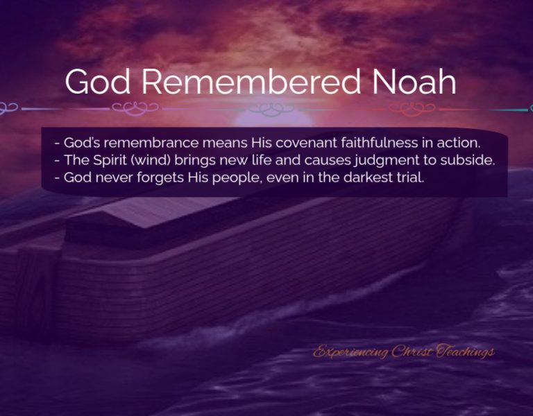 Devotional 283: God Remembered Noah