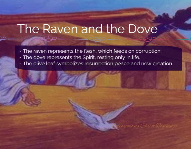 Devotional 285: The Raven and the Dove