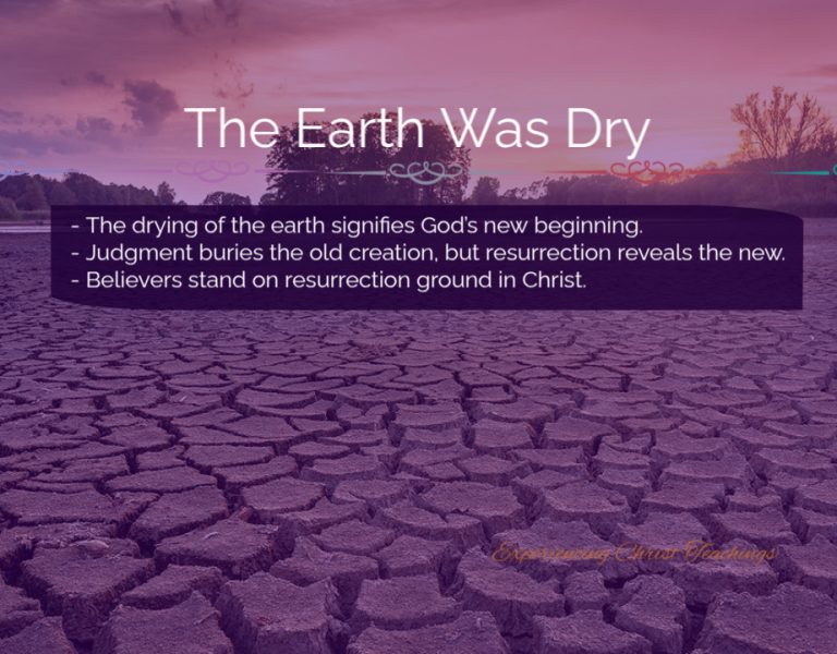 Devotional 286: The Earth Was Dry